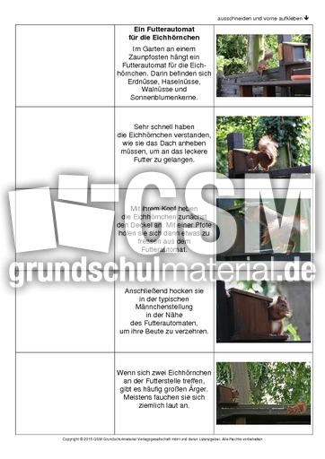 Flip-Flap-Eichhörnchen-Geschichte-3.pdf